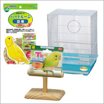 鳥