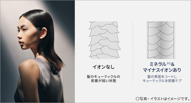 イオンなし：髪のキューティクルの密着が弱い状態 ミネラル&マイナスイオンあり：髪の表面をコートし、キューティクルを密着ケア