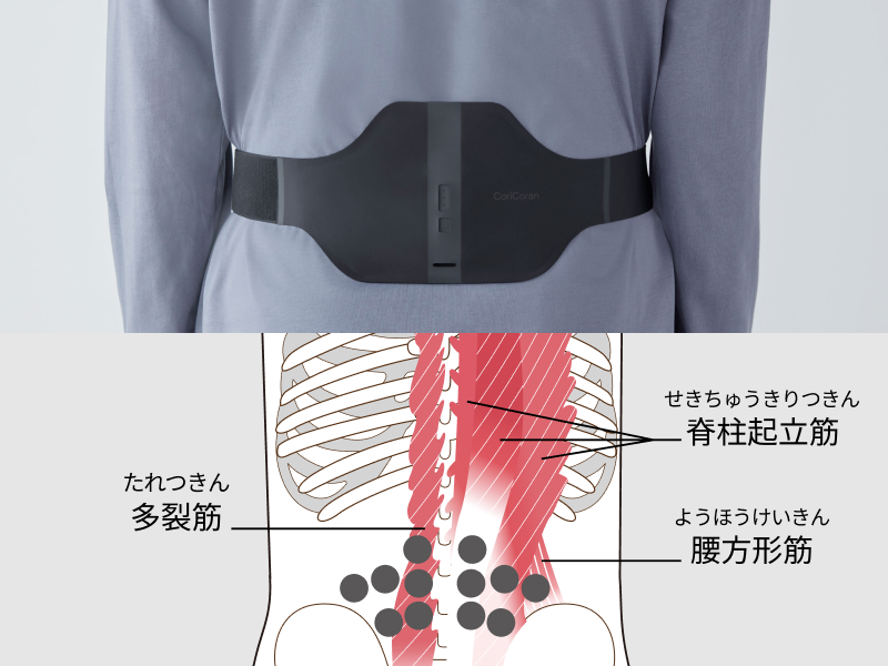 高周波デバイス12個をコリのポイントに最適配置
