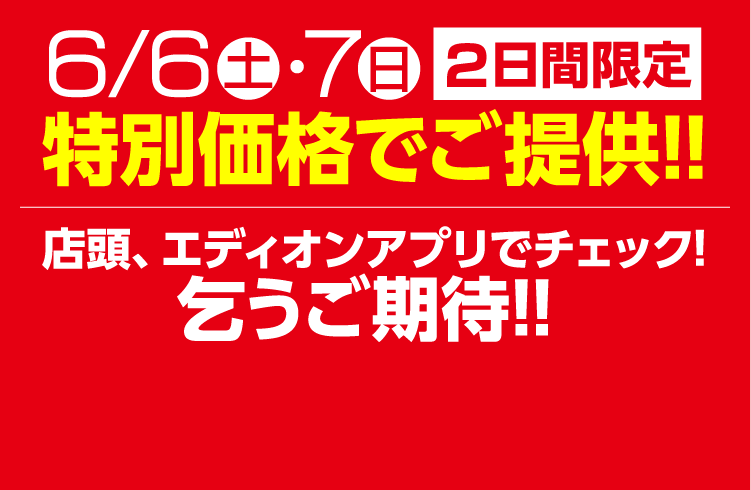 二日間限定 特別価格でご提供!!