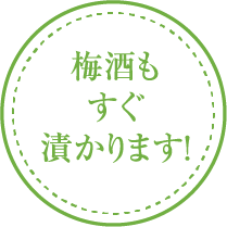 梅酒もすぐ漬かります!