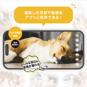 アンサー わんにゃん見守り隊 ﾜﾝﾆﾔﾝﾐﾏﾓﾘﾀｲ-イメージ3