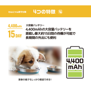 アンサー わんにゃん見守り隊 ﾜﾝﾆﾔﾝﾐﾏﾓﾘﾀｲ-イメージ7