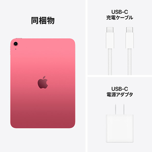 Apple 11インチiPad Wi-Fiモデル 512GB ピンク MD5C4J/A-イメージ8