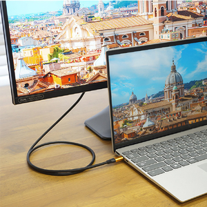 ホーリック USB Type-C→HDMI変換ケーブル(2．0m) UCHA20-059GB-イメージ8