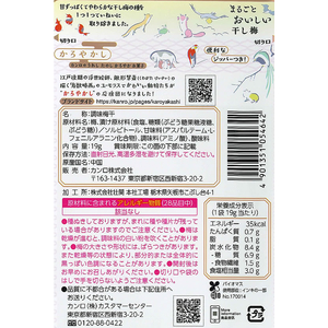 カンロ まるごとおいしい干し梅 19g FC203MT-イメージ2