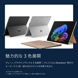 マイクロソフト Surface Pro(第 12 世代)13インチ Snapdragon  X2 Plus/24/512 プラチナ EP2-73320-イメージ13