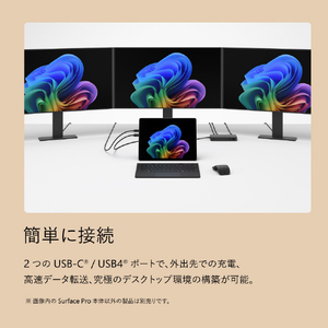 マイクロソフト Surface Pro(第 12 世代)13インチ Snapdragon  X2 Plus/24/512 デューン EP2-73340-イメージ13