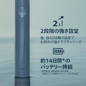 ソニッケア 2100シリーズ マリンブルー HX4021/04-イメージ8