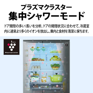 SHARP 【フレンチドア】505L 冷蔵庫 FiT63cmシリーズ冷蔵庫 ダスクダークメタル SJ-MF51R-H-イメージ9
