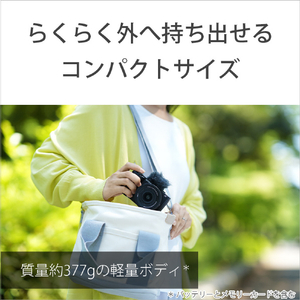 SONY デジタル一眼カメラ・パワーズームレンズキット α VLOGCAM ZV-E10 II ブラック ZV-E10M2K B-イメージ18