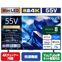 TVS REGZA 55V型4Kチューナー内蔵4K対応液晶テレビ 55E770S