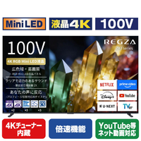 TVS REGZA 4K RGB-Mini LED液晶 REGZA 100ZX3S