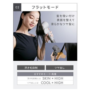 SALONIA スムースシャインスマートドライヤー グレー KSAL25120-GR-イメージ12