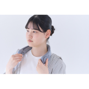 エレス アイファン カラーアイス グレー IF-COIC26GY-イメージ12