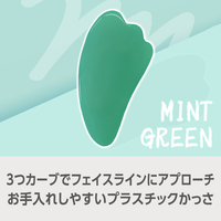 e angle プラスチックかっさ ミントグリーン ANGT-PGA-26-13-GR