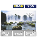 ダイコーアペックス 75型4K対応 液晶ディスプレイ APEX AP75DPX