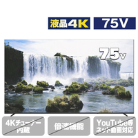 ダイコーアペックス 75型4K対応 液晶ディスプレイ APEX AP75DPX