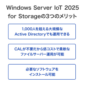 I・Oデータ Windows Server IoT 2025 for Storage Workgroup 2ドライブ法人向けNAS 8TB HDL2-Z25WATB08-イメージ5
