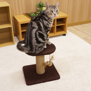ドギーマンハヤシ モダンルーム 寝ころびベッド ﾓﾀﾞﾝﾙ-ﾑﾈｺﾛﾋﾞﾍﾞﾂﾄﾞ-イメージ4