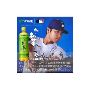 伊藤園 お～いお茶 エコティーバッグ 緑茶 20袋×10箱 FC246NT-イメージ6