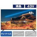 ダイコーアペックス 43型フルハイビジョン対応液晶ディスプレイ APEX ブラック AP43APXB