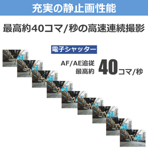 キヤノン ミラーレス一眼カメラ EOS R6 V・RF20-50mm F4 L IS USM PZ レンズキット ブラック EOSR6V2050ISPZLK-イメージ10