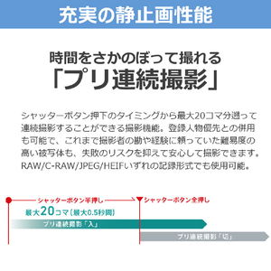 キヤノン ミラーレス一眼カメラ EOS R6 V・RF20-50mm F4 L IS USM PZ レンズキット ブラック EOSR6V2050ISPZLK-イメージ11
