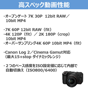 キヤノン ミラーレス一眼カメラ EOS R6 V・RF20-50mm F4 L IS USM PZ レンズキット ブラック EOSR6V2050ISPZLK-イメージ6