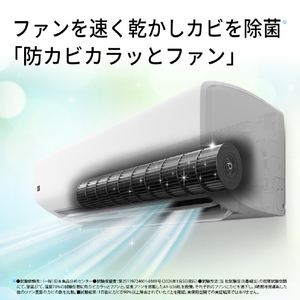 シャープ 「工事代金別」 10畳 フィルター自動清掃 省エネハイパワーエアコン e angle select プラズマクラスターエアコン Rシリーズ AY-28RLE6S-イメージ14