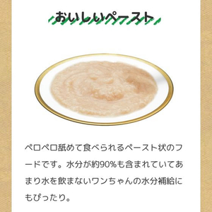 いなば 旅するちゅーる 地鶏堪能セレクション 6g×6P FCE074K-イメージ5