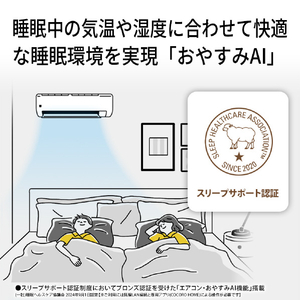 シャープ 「工事代金別」 23畳 フィルター自動清掃 省エネハイパワーエアコン e angle select プラズマクラスターエアコン Rシリーズ AY-71RLE6S-イメージ16