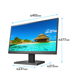 I・Oデータ USB Type-C搭載 21．5型 液晶ディスプレイ ブラック LCD-C222SDB-イメージ2