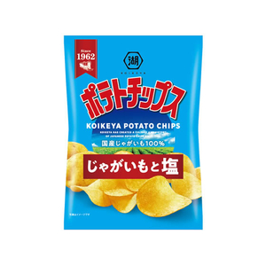 湖池屋 ポテトチップス じゃがいもと塩 FCB777L-イメージ1