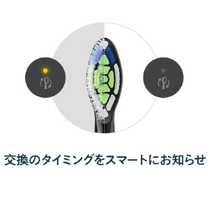 ソニッケア W2 ホワイトプラス ブラシヘッド 3本組 ブラック HX6063/91-イメージ6