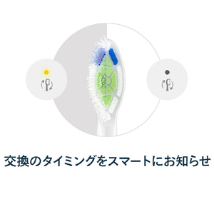 ソニッケア W2 ホワイトプラス ブラシヘッド 3本組 ホワイト HX6063/14-イメージ6
