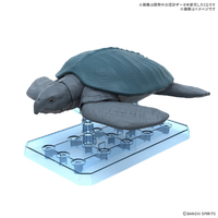 バンダイスピリッツ プラノサウルス アーケロン ﾌﾟﾗﾉｻｳﾙｽG09ｱ-ｹﾛﾝ