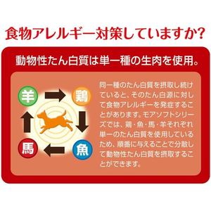 ペティオ more soft チキンハイシニア 540g FCE975X-A14144-イメージ6