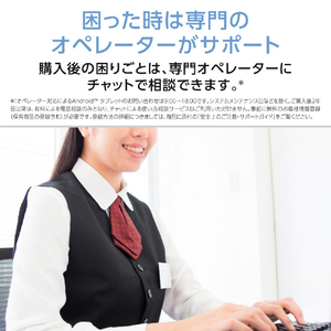 NEC 11型Androidタブレット LAVIE Tab T11 ルナグレー PC-T1155MAS-イメージ10