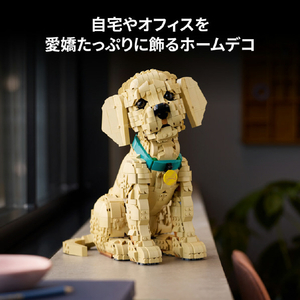レゴジャパン LEGO Icons 11384ゴールデンレトリバーの子犬 11384ｺﾞ-ﾙﾃﾞﾝﾚﾄﾘﾊﾞ-ﾉｺｲﾇ-イメージ10