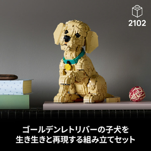 レゴジャパン LEGO Icons 11384ゴールデンレトリバーの子犬 11384ｺﾞ-ﾙﾃﾞﾝﾚﾄﾘﾊﾞ-ﾉｺｲﾇ-イメージ5