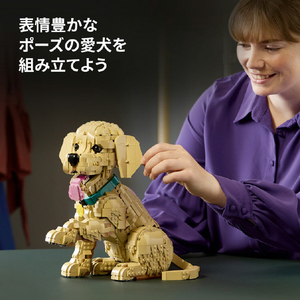 レゴジャパン LEGO Icons 11384ゴールデンレトリバーの子犬 11384ｺﾞ-ﾙﾃﾞﾝﾚﾄﾘﾊﾞ-ﾉｺｲﾇ-イメージ6