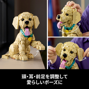 レゴジャパン LEGO Icons 11384ゴールデンレトリバーの子犬 11384ｺﾞ-ﾙﾃﾞﾝﾚﾄﾘﾊﾞ-ﾉｺｲﾇ-イメージ7