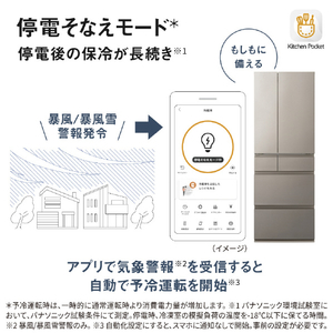 パナソニック 【フレンチドア】501L 6ドア冷凍冷蔵庫 ヘアラインシャンパン NR-F50HY3-N-イメージ14