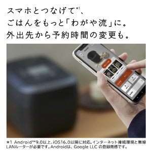 日立 圧力&スチームIH炊飯器 圧力&スチーム ふっくら御膳 漆黒 RZ-W100JM-K-イメージ19
