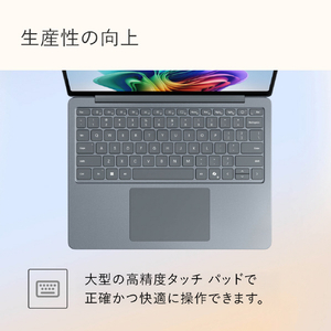 マイクロソフト 特別モデル ノートPC Surface Laptop 13 インチ Snapdragon X Plus/16/1TB オーシャングリーン EP2-30766-イメージ13