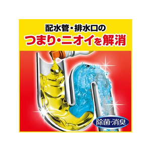 ジョンソン パイプユニッシュ 800g F867504-イメージ4