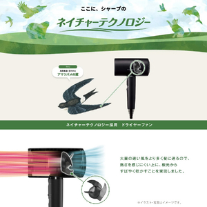 SHARP プラズマクラスタードライヤー Plasmacluster Beauty ホワイト系ルミナスホワイト IB-P802-W-イメージ9