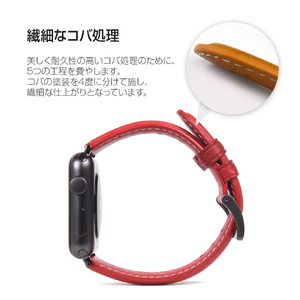 SLG Design Apple Watch 49/46/45/44/42mm用バンド  Italian Minerva Box Leather ブラック SD18392AW-イメージ12