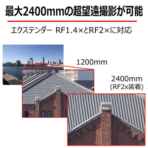 キヤノン 単焦点 望遠レンズ RFレンズ RF1200mm F8 L IS USM RF12008LIS-イメージ3